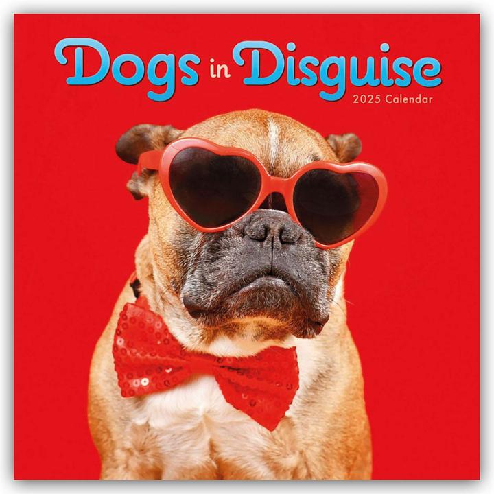 Dogs in Disguise - Chiens déguisés - Chiens déguisés 2025 - Calendrier mural (305 x 305 mm, Couverture rigide, Allemand)