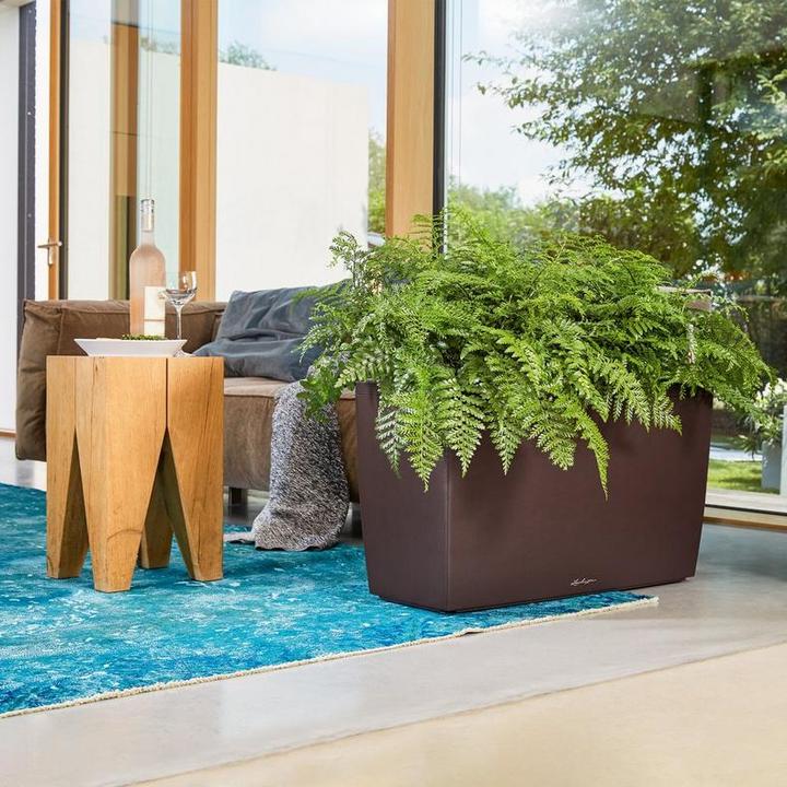 Image du produit Lechuza Cararo (75 x 30 x 43 cm)