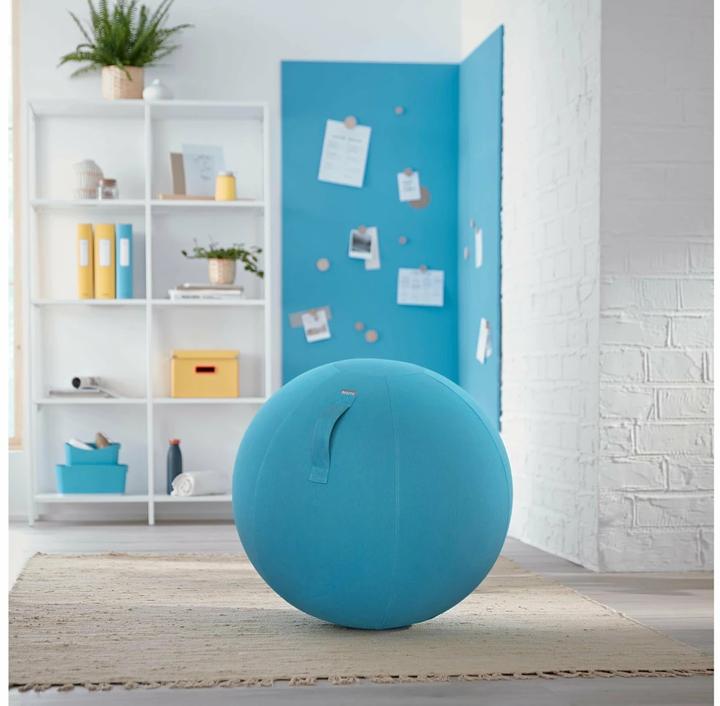Productafbeelding Leitz Ergo Cosy zitbal (65 cm)