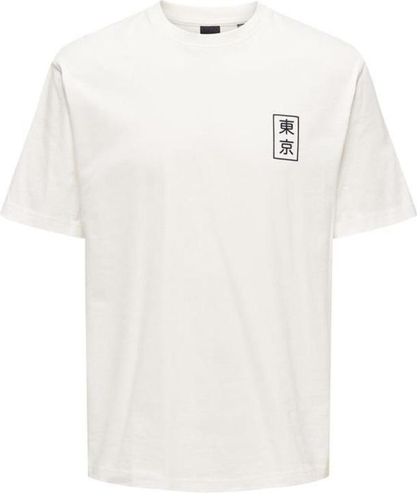 Produktbild Only & Sons Onskace Rlx Jap Ss Tee (S)