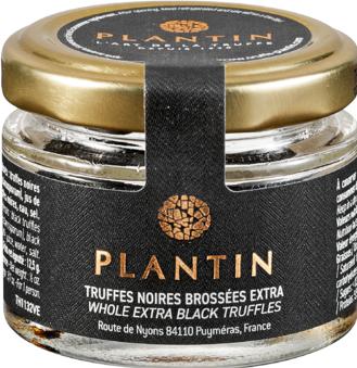 Plantin Schwarzer Trüffel