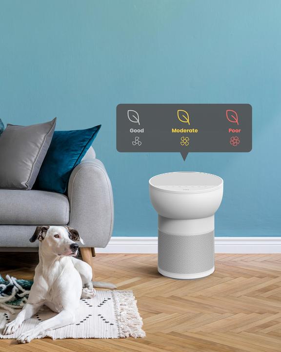 Produktbild TCL Breeva A2WW (24 m²)