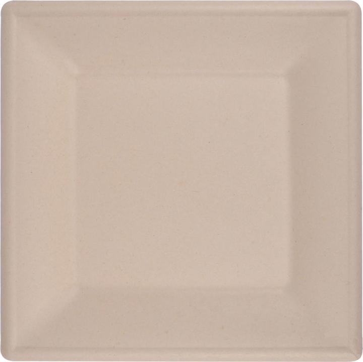 Actual product image Natura Punto Square plate from sugar cane (24x)