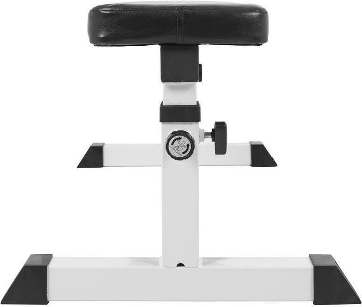 Actual product image Gorilla Sports Weight bench 793