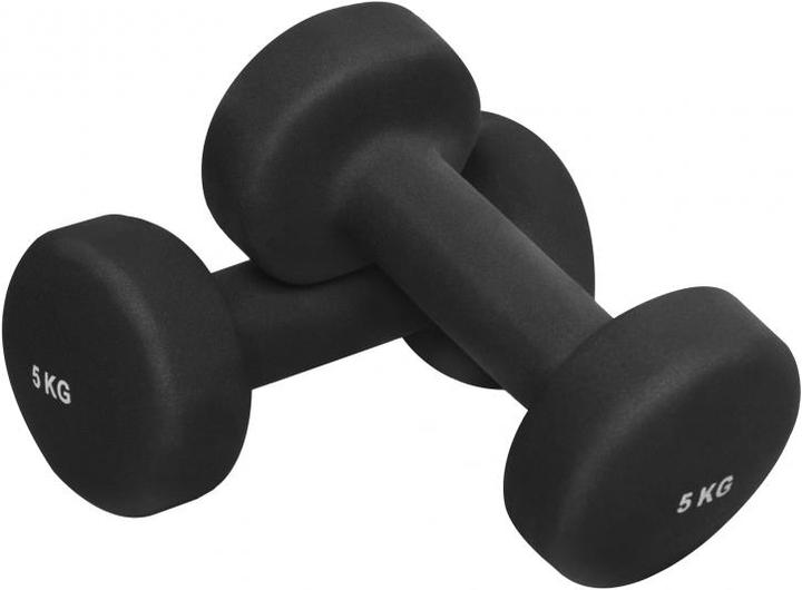 2 x 5 kg