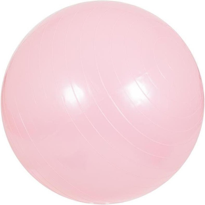 Immagine prodotto Gorilla Sports Palla da ginnastica 355 (65 cm)