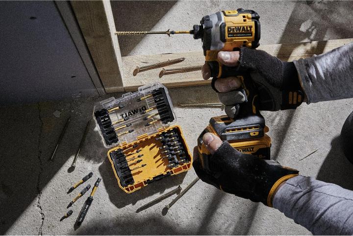 Actual product image DeWalt Set of impact tips DT70738T, 31 pcs. (Hexagon socket TX M10, Hexagon socket TX M15, Hexagon socket TX M20, Hexagon socket TX M30, Cross Phillips PH M2, Hexagon socket TX M25, Cross Pozidriv PZ M2)