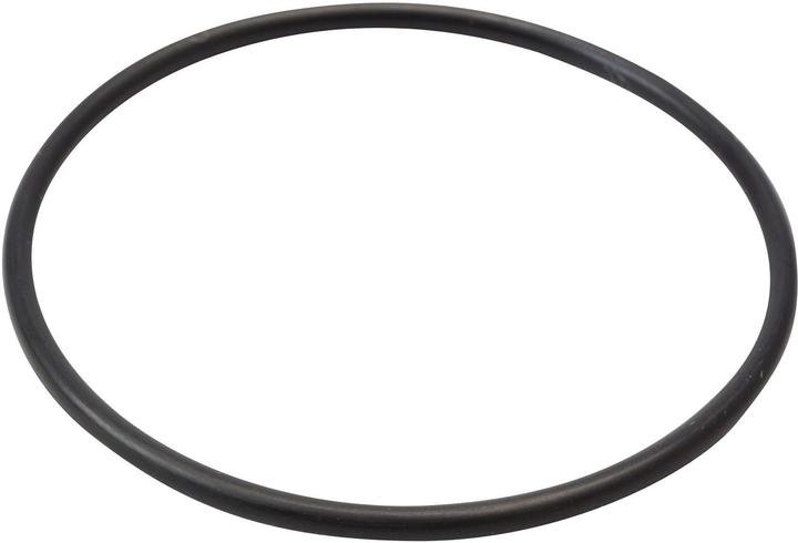 1 O-Ring