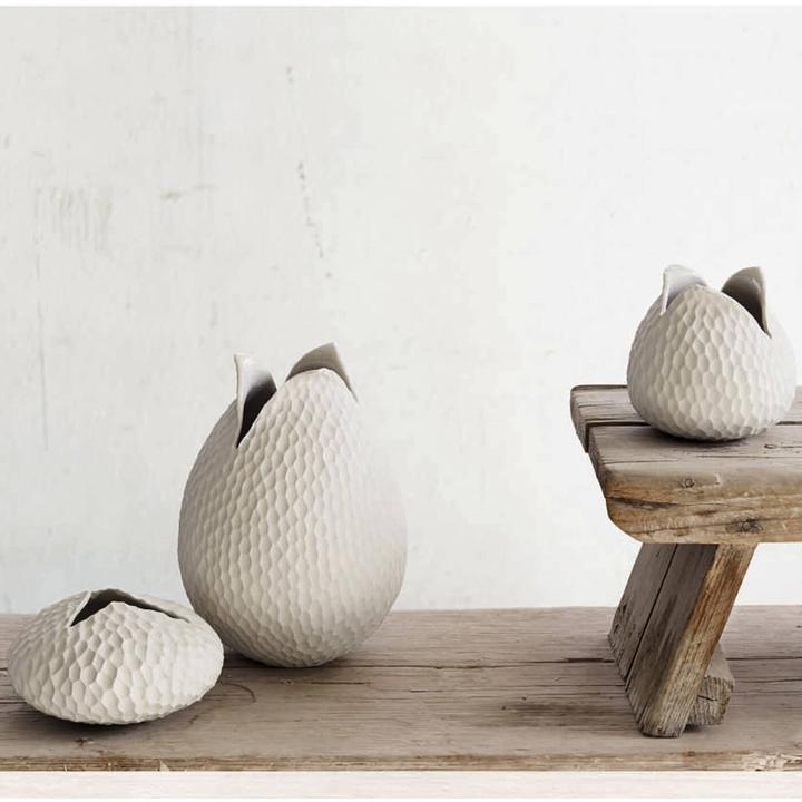 Image du produit ASA Selection nature (1x)