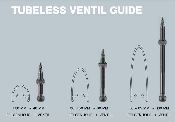 Image du produit Schwalbe valve sans tube