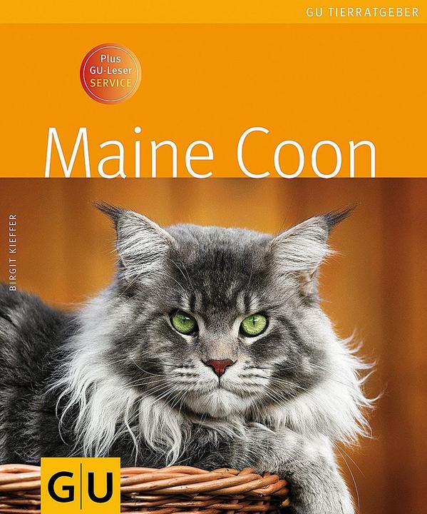 Produktbild Maine Coon (Deutsch, Birgit Kieffer, 2017)