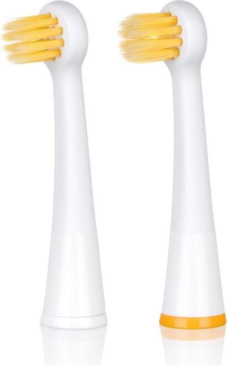 Produktbild Edel + White Focus Brush Head Sonic Ersatzbürstenköpfe (2 x)