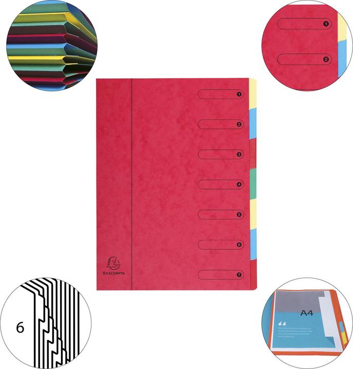 Image du produit Exacompta Fardes de classement avec dos à soufflets (A4, 80 x)