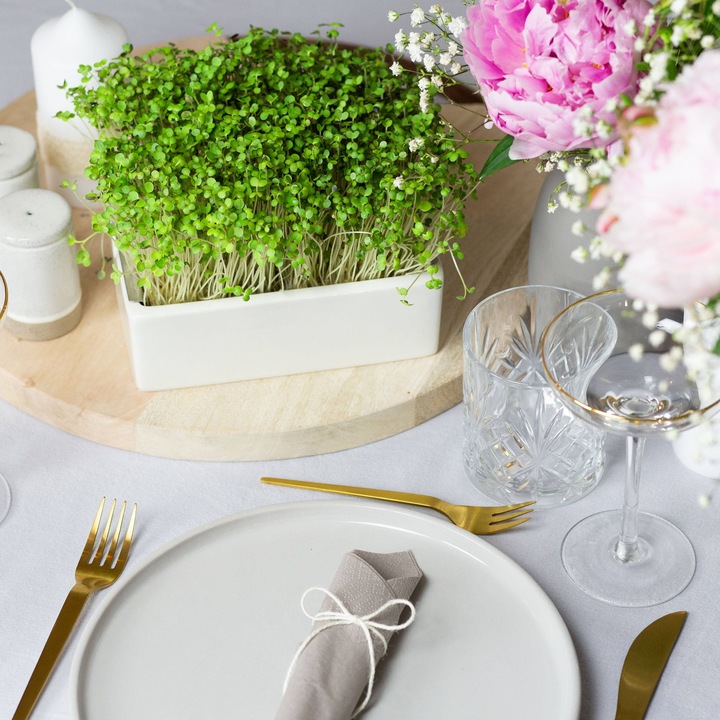 Immagine prodotto Heimgart Microgreens Starter-Kit (Germogli)