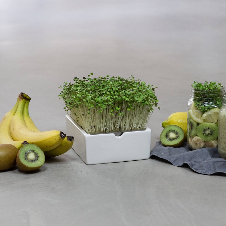 Immagine prodotto Heimgart Microgreens Starter-Kit (Germogli)