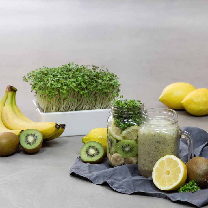 Immagine prodotto Heimgart Microgreens Starter-Kit (Germogli)