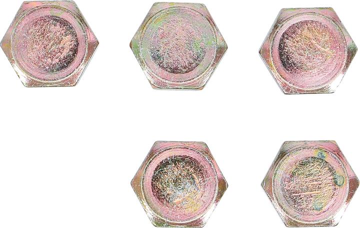 Actual product image BGS Ölablassschrauben