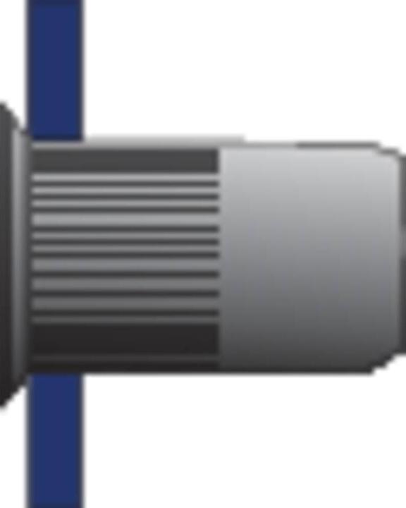 Image du produit Bralo Ecrou à sertir (Ø x L) 6.9 mm