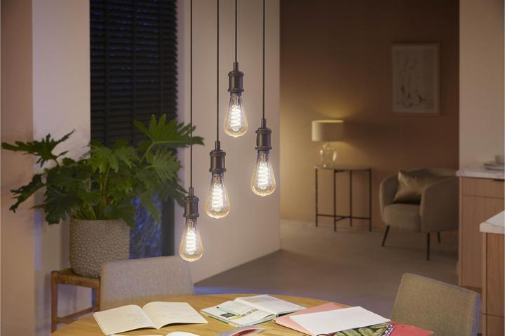 Actual product image Philips Hue Philips E27 Single Pack Giant Edison (E27, 550 lm, 1x)