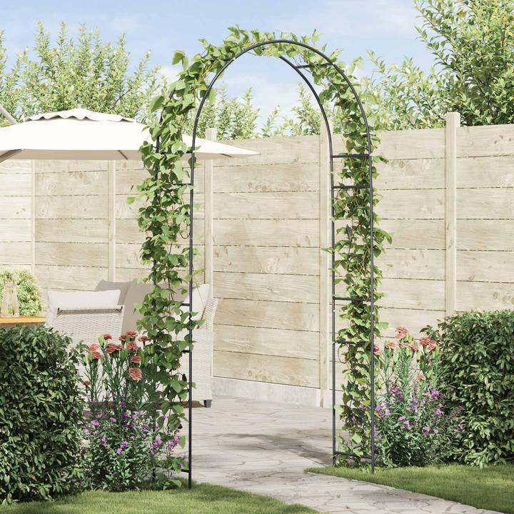 Image du produit vidaXL Gartenbogen (115 cm, 37 cm)