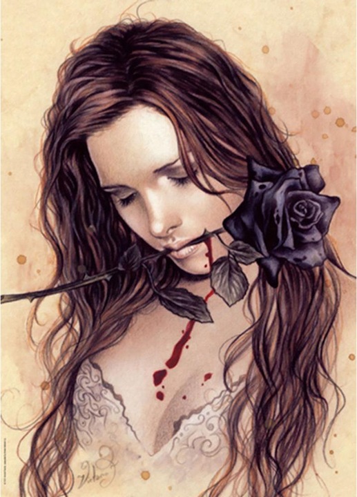 Image du produit Heye Dark Rose Favole de Victoria Francés (1000 pièces)