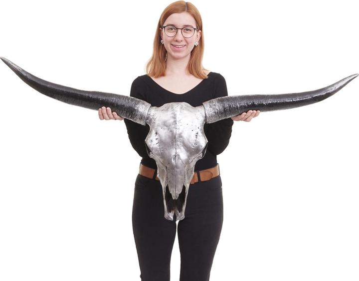 Immagine prodotto Swisshandel24 Teschio di toro
