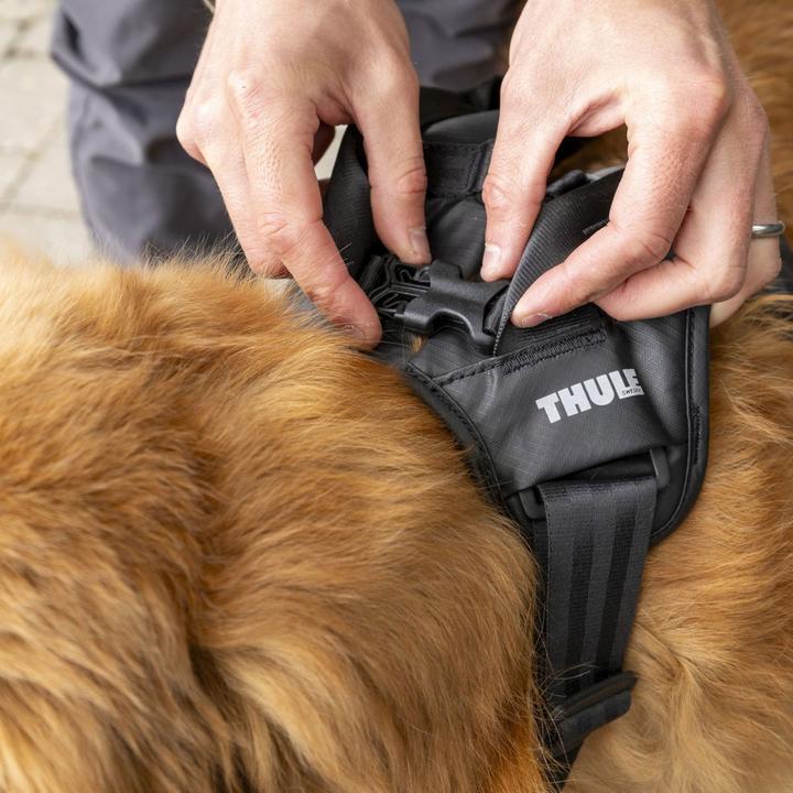 Image du produit Thule Cappy (Chien, Lavable, Respirant)
