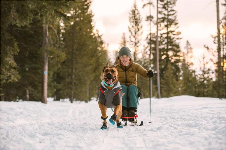 Produktbild Ruffwear Lumenglow Hi-Viz Jacket Hundejacke (XS)