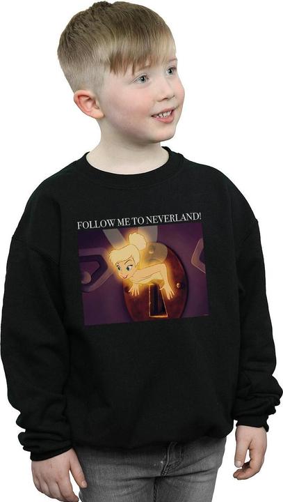 Image du produit Disney - Sweat TINKER BELL FOLLOW ME - Garçon (116)