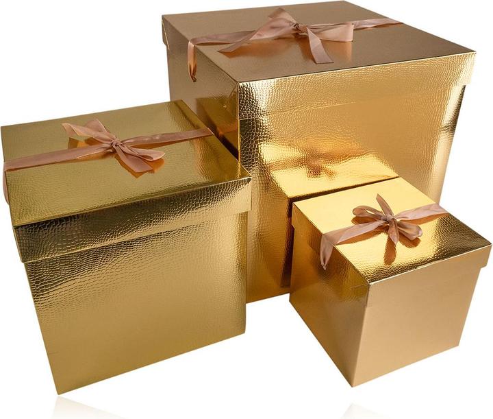 Image du produit Accentra Faltbare Geschenkbox mittel (Pochette cadeau, 1 x)