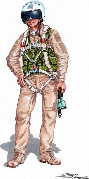 Actual product image Plus Model Pilot Su-27