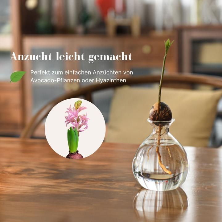 Image du produit Hermex Verre d'avocatier (10 cm)