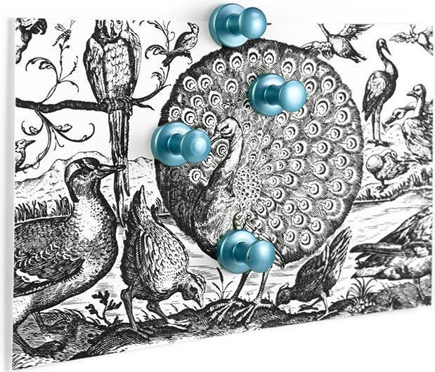 Image du produit Trendform Mini-Max (4x)