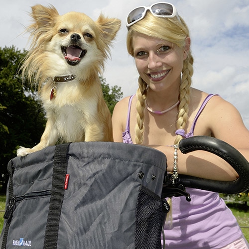 Actual product image KlickFix Doggy handlebar basket (24 l)