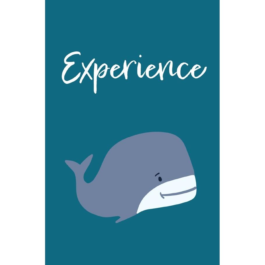 epubli Wal - Meine Abenteuer- und Erlebnisstagebuch | Notizbuch (Kariert) (56973876)