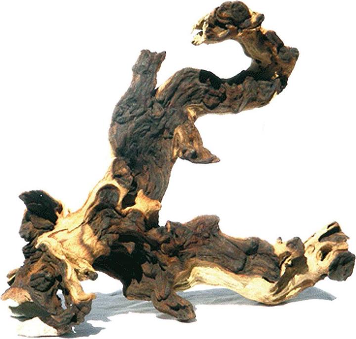 Amazonas World Mopani (Embellishment, Basics)