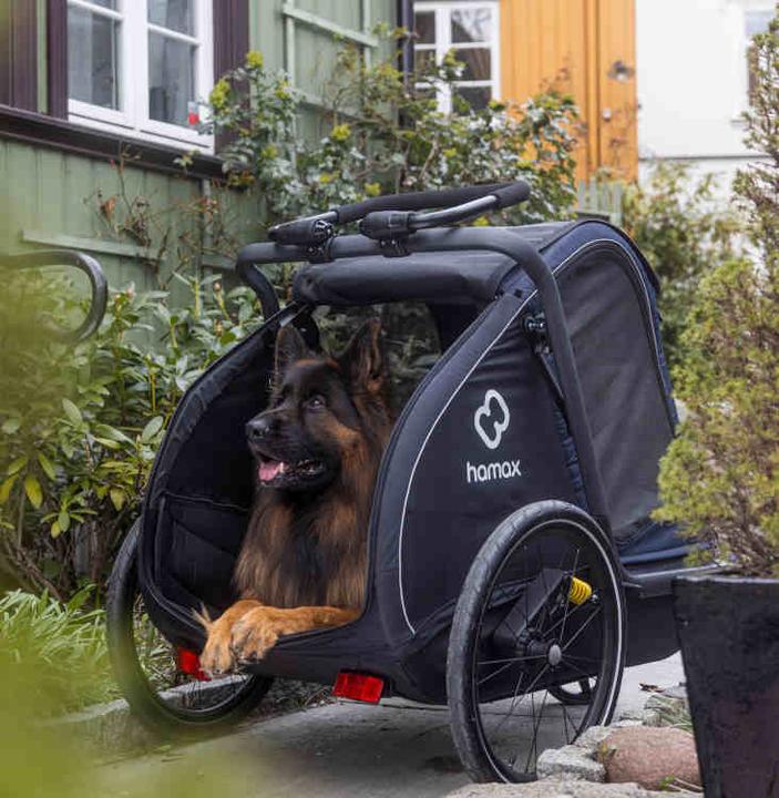 Actual product image hamax Pluto L