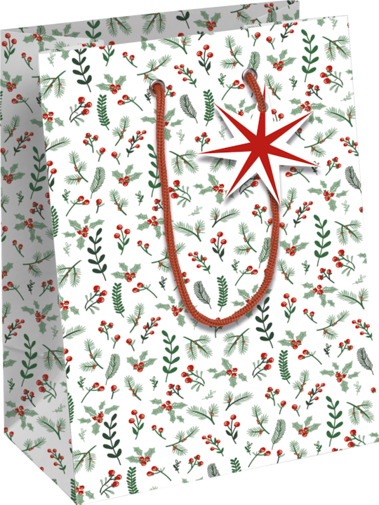 Actual product image Clairefontaine Cosy Gift Bag Kraft (Gift box, 720 x)