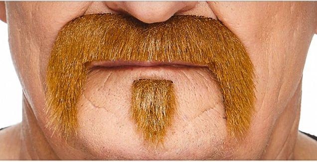 Actual product image Metamorph The Zappa Bart