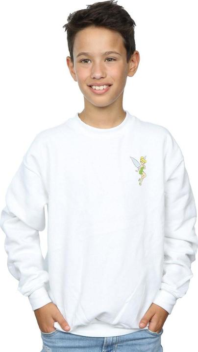 Produktbild Disney Tinkerbell Chest Sweatshirt Jungen (116)