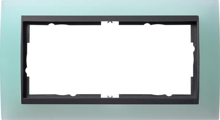 Actual product image Gira Cover frame 2f o.m. Intermediate no. AN 100285