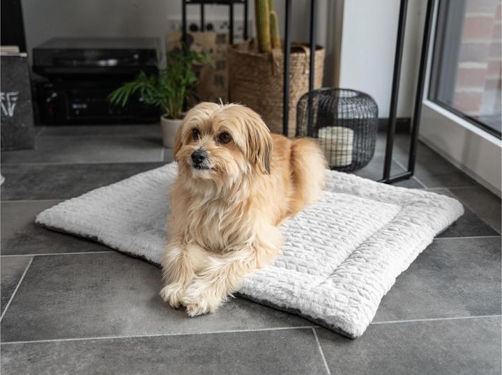 Actual product image Trend Pet Dog blanket Heaven, Grey, Size XS (Dog)