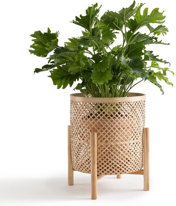 Produktbild La Redoute Interieurs Bambu (40 x 65 cm)
