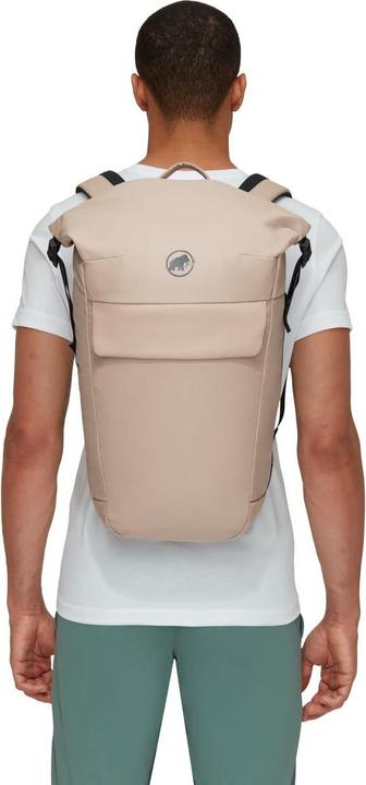 Produktbild Mammut Seon Courier 20 (20 l)