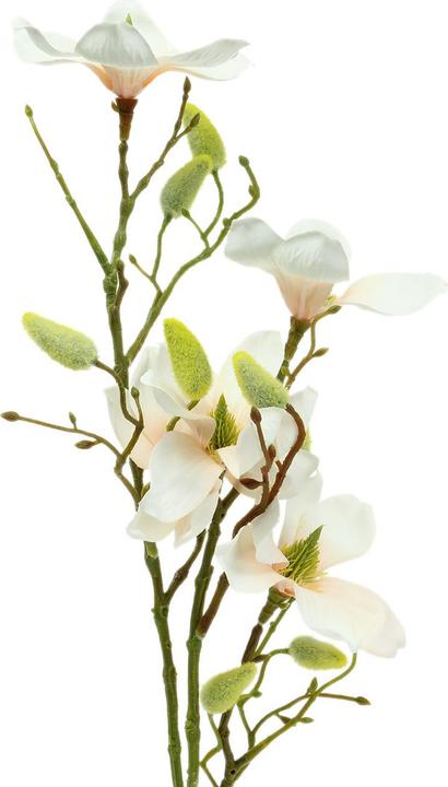 Viana Knstliche Magnolie fr blhende Frhlingsdekoration in Innenrumen  (20 cm) - Galaxus