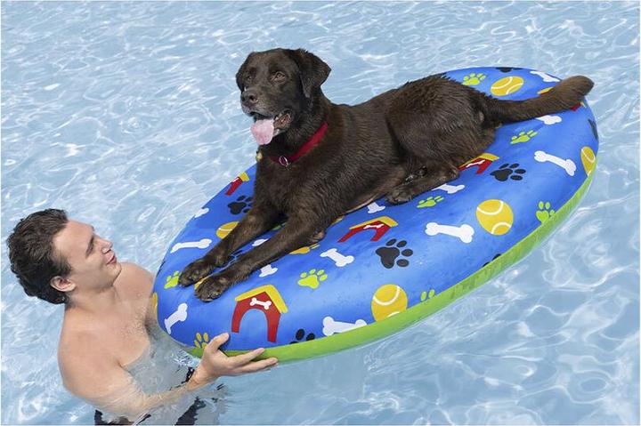 Actual product image Bestway Fetchin' Fun Luftmatratze für Haustiere