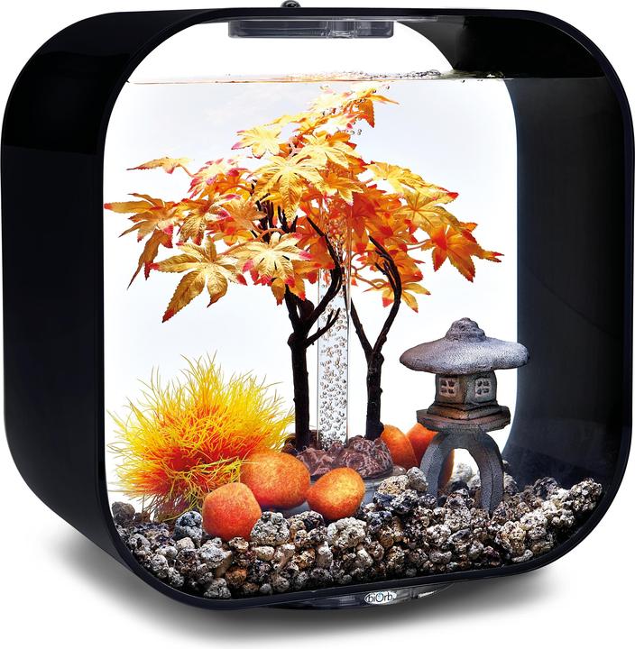 Actual product image Oase 55027 Aquarium decoration 30 l (Embellishment, other buildings)