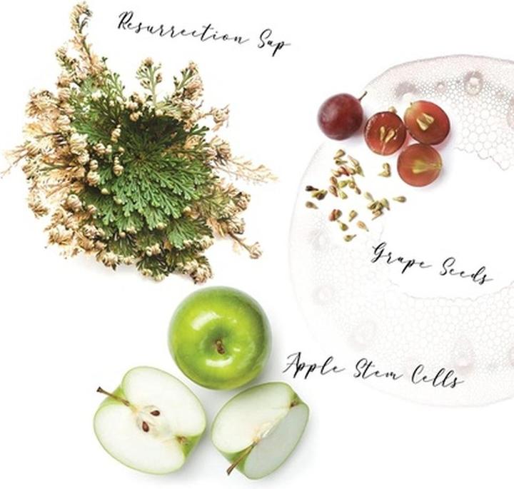 Produktbild Ecru New York ECRU NY Signature - Restorative Conditioner (709 ml)