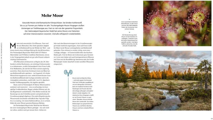 Actual product image Wilder Wald (German, Alexandra von Poschinger, 2020)