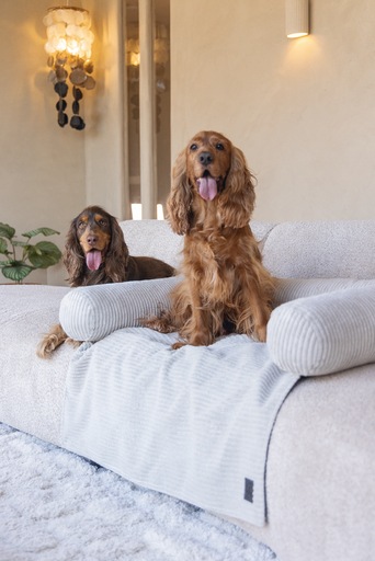 Productafbeelding Designed by Lotte Bankkussen Geribd (Hond)